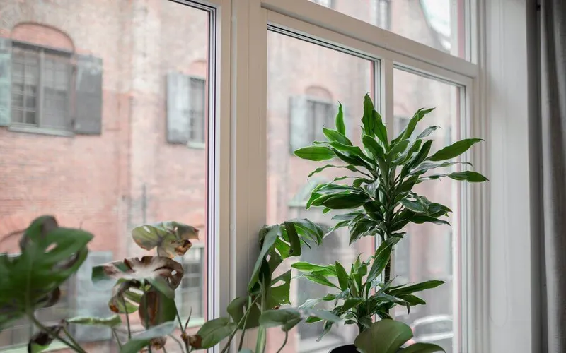 Codic Consulting Kronhusbodana Vy