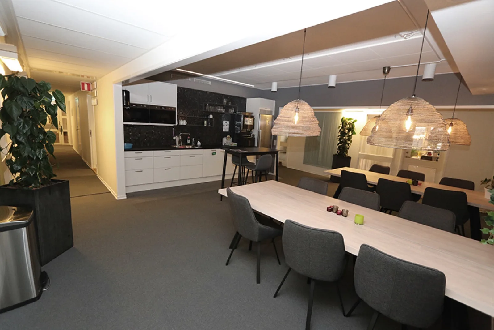 Palmung Mellin kontorshotell Cogito kontor