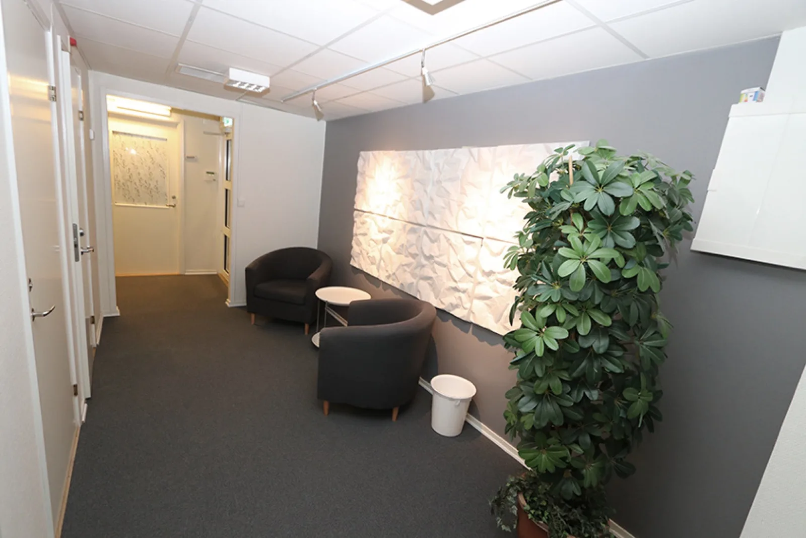 Palmung Mellin kontorshotell Cogito kontor